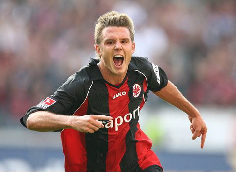 的表现来看 的表现来看